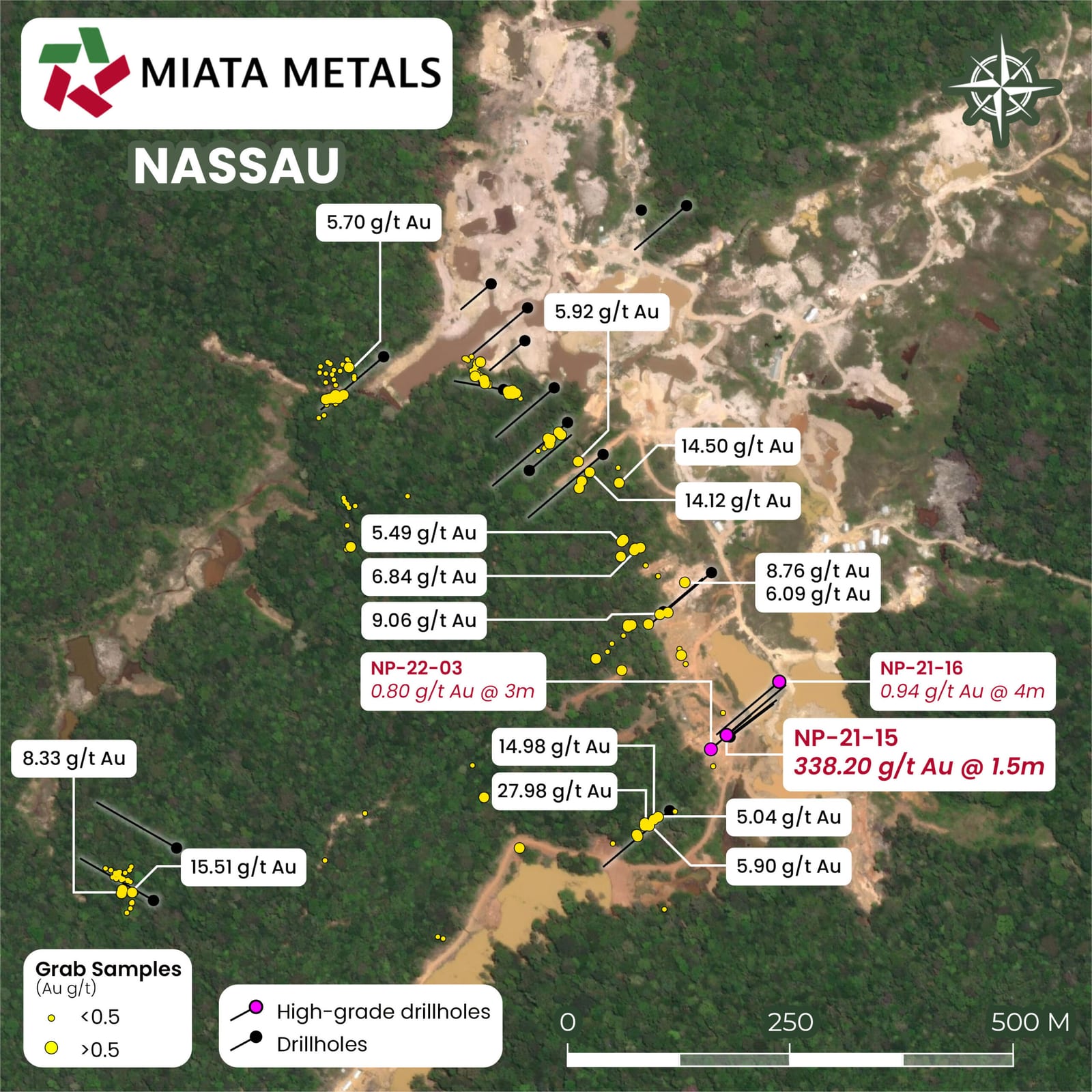 Nassau project satellite map showing grab-sample and drill-hole gold grades across the plateau near the Suriname border, including NP-21-15 at 338.20 g/t Au over 1.5 m