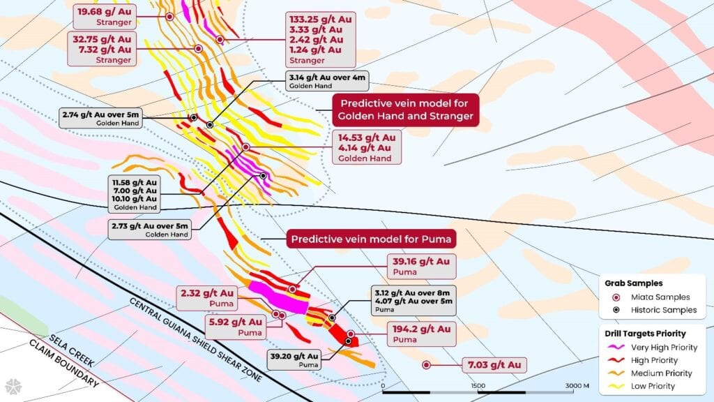 Predictive vein model over the Golden Hand, Stranger, and Puma targets at Sela Creek, showing key well-mineralized samples discussed in the text.