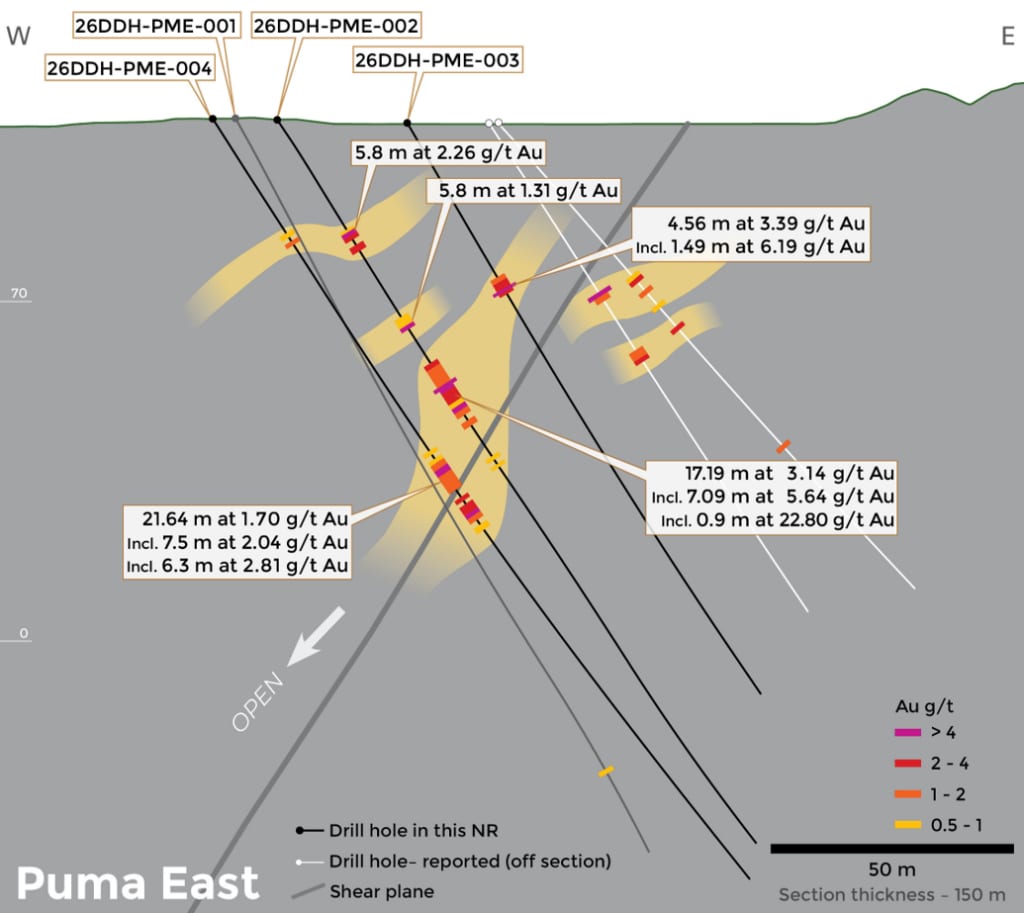 Cross section of Puma East along geological section A-A'.