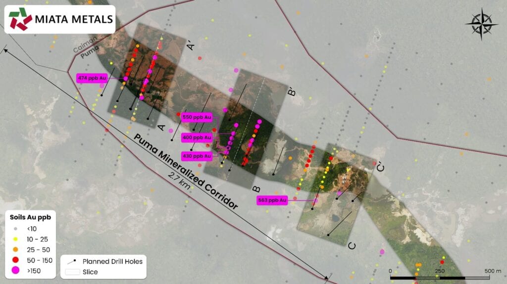 Plan view of proposed Puma drilling with the 3D wireframe inferred vein targets and section lines A–C.