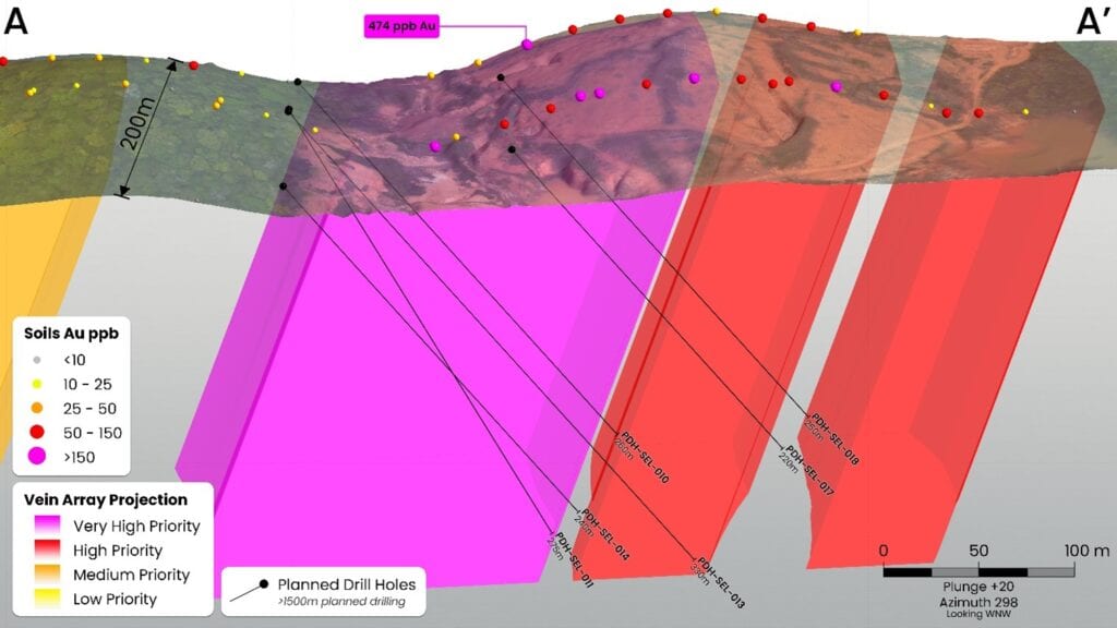 Section A showing inferred vein array projections coloured by priority at Puma.