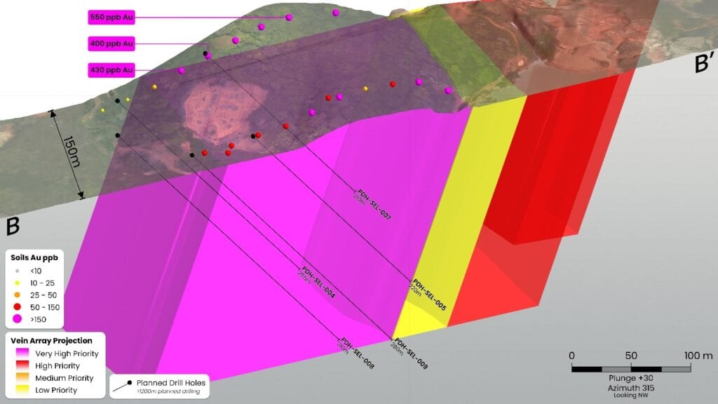 Section B showing inferred vein array projections coloured by priority at Puma.