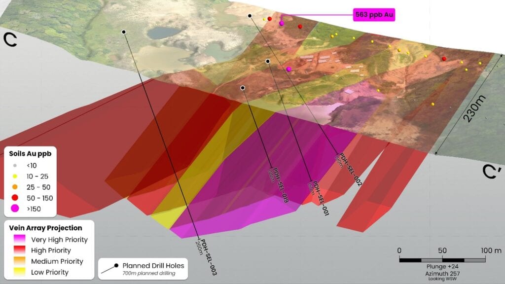 Section C showing inferred vein array projections coloured by priority at Puma, with a steeply-dipping tension vein cross-cutting the arrays.