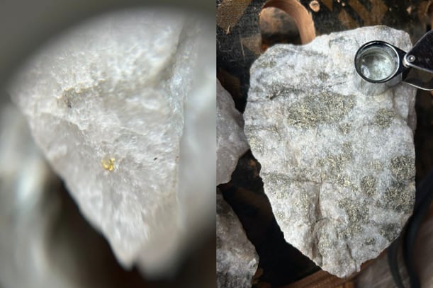 Grab samples at the Puma target showing visible gold and sulphides in quartz.