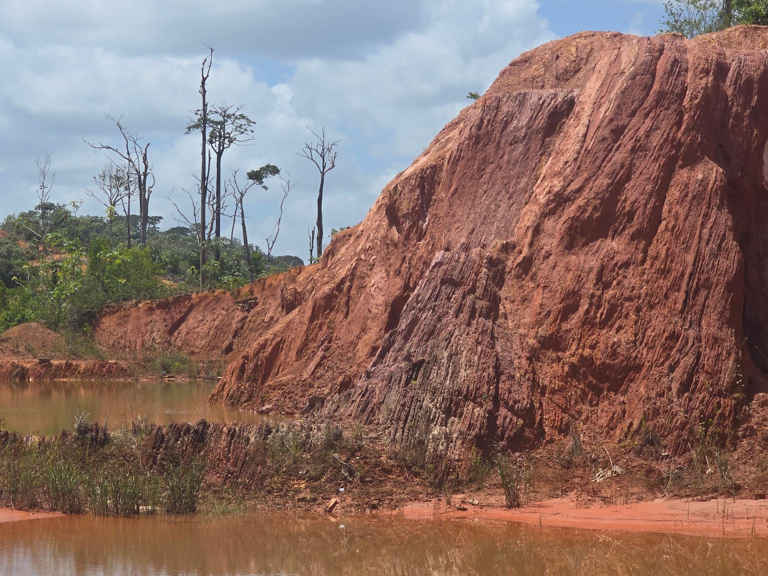 The Clayton Pit headwall exposing oxidised, gold-bearing saprolite at the Puma target, Sela Creek